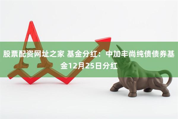 股票配资网址之家 基金分红：中加丰尚纯债债券基金12月25日分红