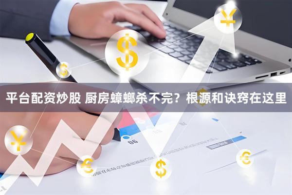 平台配资炒股 厨房蟑螂杀不完？根源和诀窍在这里