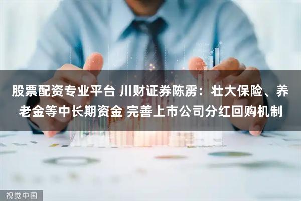 股票配资专业平台 川财证券陈雳：壮大保险、养老金等中长期资金 完善上市公司分红回购机制